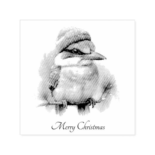 Winter Kookaburra Wensen, op maat Zelfinktende Stempel (Design)