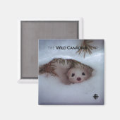 Winter - Korte zandspiering Magneet (Voorkant / Achterkant)