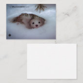 Winter - Korte zandspiering Notitiekaartje (Voorkant / Achterkant)