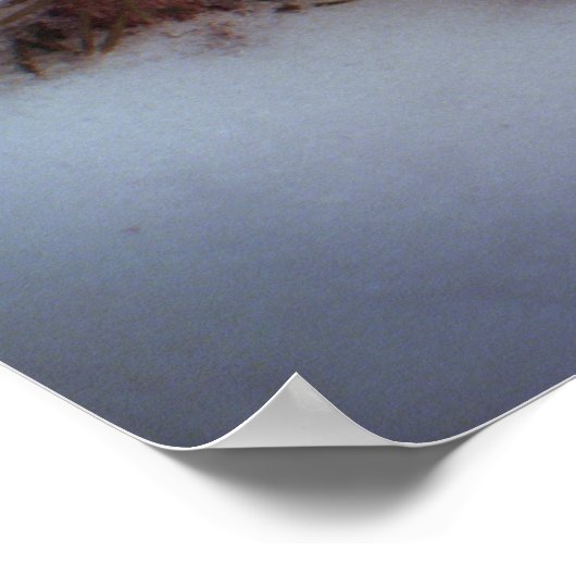 Winter - Korte zandspiering Poster (Hoek)