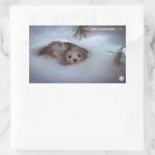 Winter - Korte zandspiering Rechthoekige Sticker (Tas)