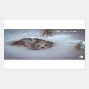 Winter - Korte zandspiering Rechthoekige Sticker