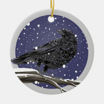 Winter Kraai