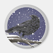 Winter Kraai