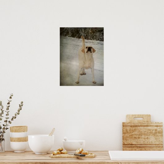 Winter Lab Poster (Keuken)