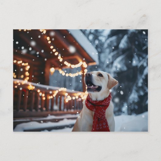 Winter Labrador Christmas Kaart (Voorkant)