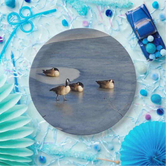 Winter Lake Ganzen en Goose Ice Napping Papieren Bordje (Feest)