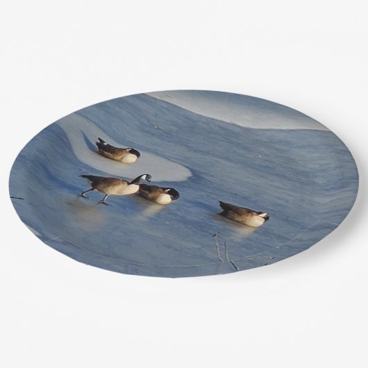 Winter Lake Ganzen en Goose Ice Napping Papieren Bordje (Gekanteld)