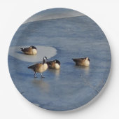 Winter Lake Ganzen en Goose Ice Napping Papieren Bordje (Voorkant)