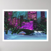 Winter Landscape Central Park New York Poster (Voorkant)