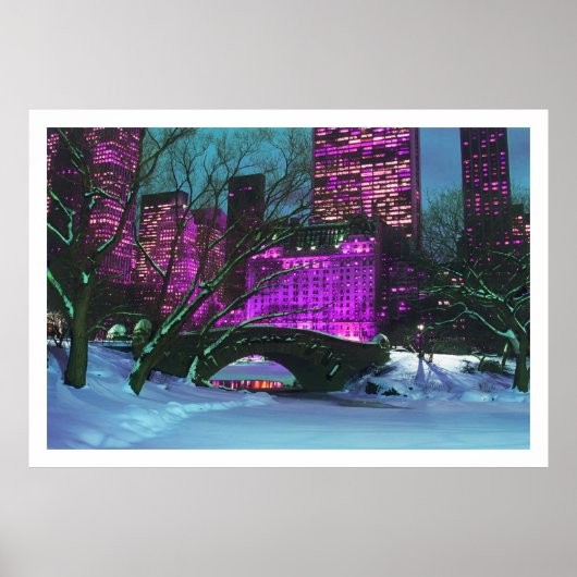 Winter Landscape Central Park New York Poster (Voorkant)
