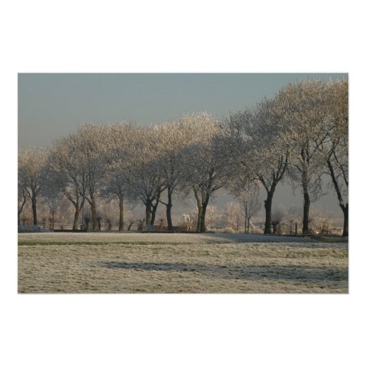 Winter landscape  perfect poster (Voorkant)