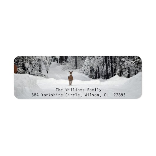 Winter Landscape Photo Return Label (Voorkant)