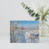 Winter Landscape - Postcard Briefkaart (Staand voorkant)