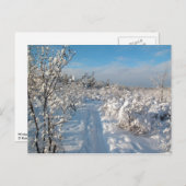 Winter Landscape - Postcard Briefkaart (Voorkant / Achterkant)