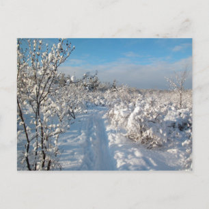 Winter Landscape - Postcard Briefkaart