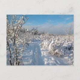 Winter Landscape - Postcard Briefkaart