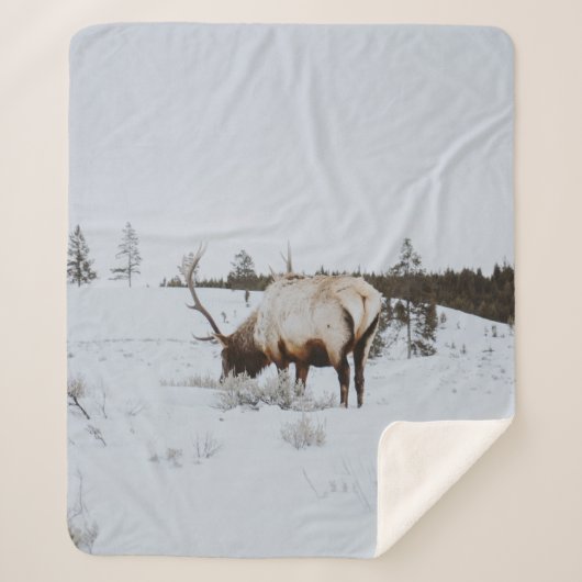 WINTER LANDSCAPE WITH A DEER SHERPA DEKEN (Voorkant)
