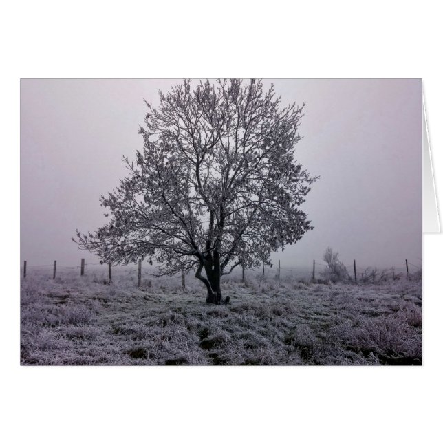 Winter landschap met boom (Voorkant Horizontaal)