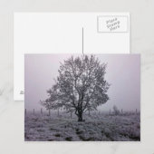 Winter landschap met boom briefkaart (Voorkant / Achterkant)