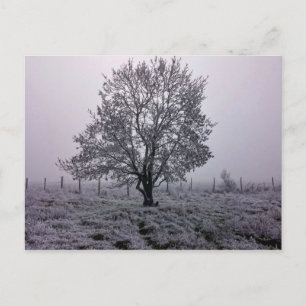 Winter landschap met boom briefkaart