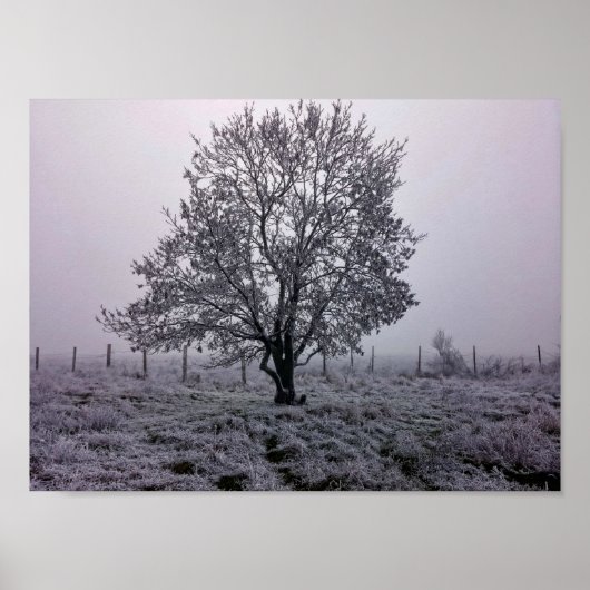 Winter landschap met boom poster (Voorkant)