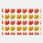 Winter, Lente, Herfst Seizoenen Gift Wrap Inpakpapier Vel (Voorkant 2)