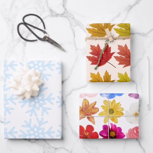 Winter, Lente, Herfst Seizoenen Gift Wrap Inpakpapier Vel (Voorkant)