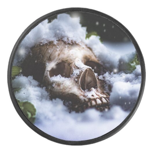 Winter Life IV Hockey Puck (Voorkant)