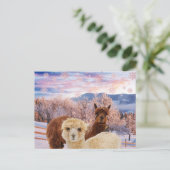 Winter Llamas Briefkaart (Staand voorkant)