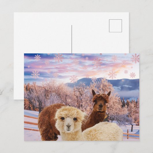 Winter Llamas Briefkaart (Voorkant / Achterkant)