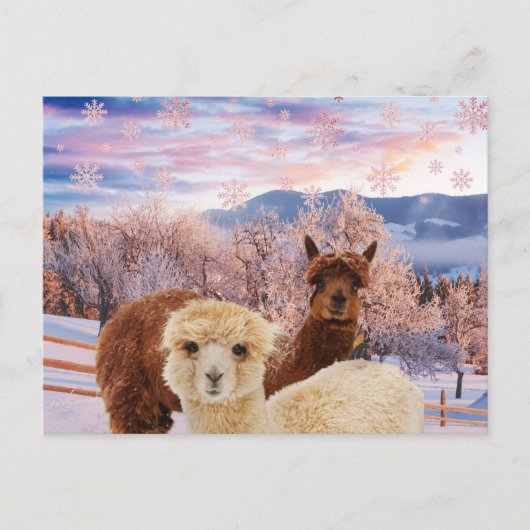 Winter Llamas Briefkaart (Voorkant)