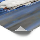 Winter Love Swan Couple Poster (Hoek)