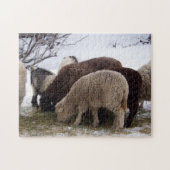 Winter Lunch voor schapen Legpuzzel (Horizontaal)