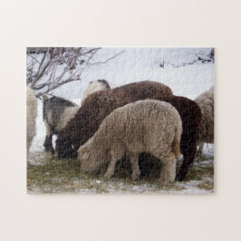 Winter Lunch voor schapen Legpuzzel