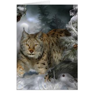 Winter Lynx