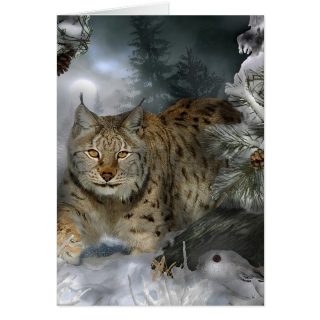 Winter Lynx (Voorkant)