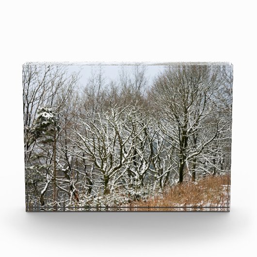 Winter Macclesfield Forest Card Canvas Afdrukken Fotoblokken (Voorkant)