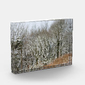 Winter Macclesfield Forest Card Canvas Afdrukken Fotoblokken (Links)