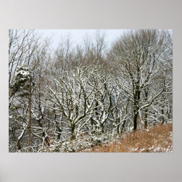 Winter Macclesfield Forest Card Canvas Afdrukken Poster