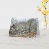 Winter Macclesfield Forest Kaart (Gele Bloem)