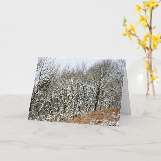 Winter Macclesfield Forest Kaart (Gele Bloem)