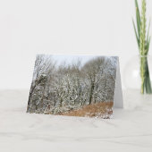 Winter Macclesfield Forest Kaart (Voorkant)