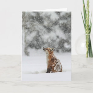 "Winter Magic"-feestkaart Kaart