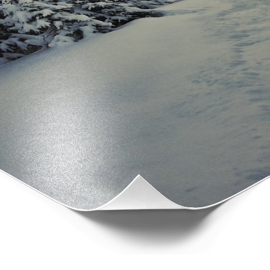 Winter Magic Foto Afdruk (Hoek)