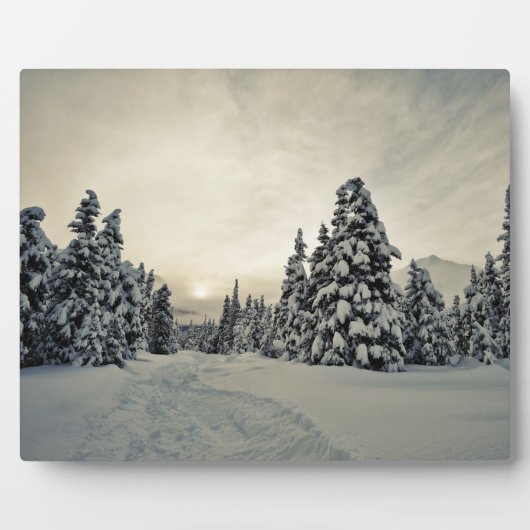 Winter Magic Fotoplaat (Voorkant)