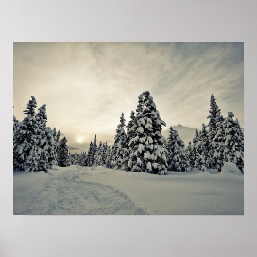 Winter Magic Poster (Voorkant)