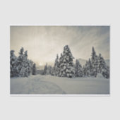 Winter Magic Tissuepapier (Voorkant)