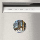 winter magneet (Insitu (Vaatwasser))