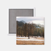 Winter..... Magneet (Voorkant / Achterkant)